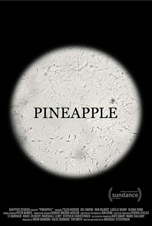 Pineapple (2017) poster