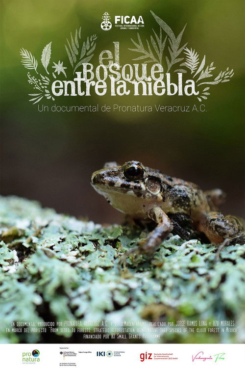 El bosque entre la niebla (2024) poster