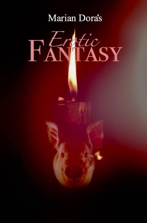 Erotic Fantasy (2011) poster