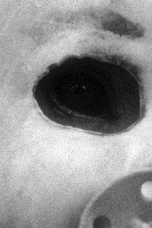 The Masked Monkeys (2016) poster