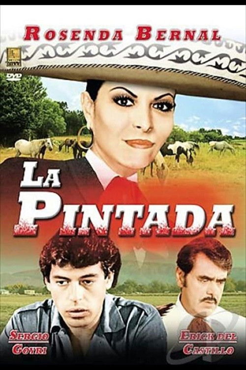 La pintada (1986) poster