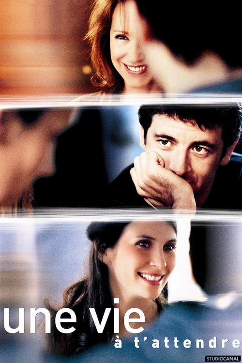 I've Been Waiting So Long (2004) poster