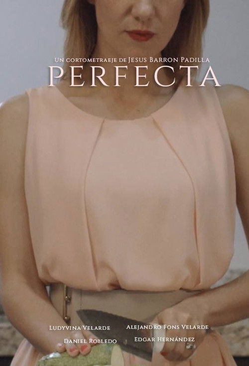Perfecta (2017) poster