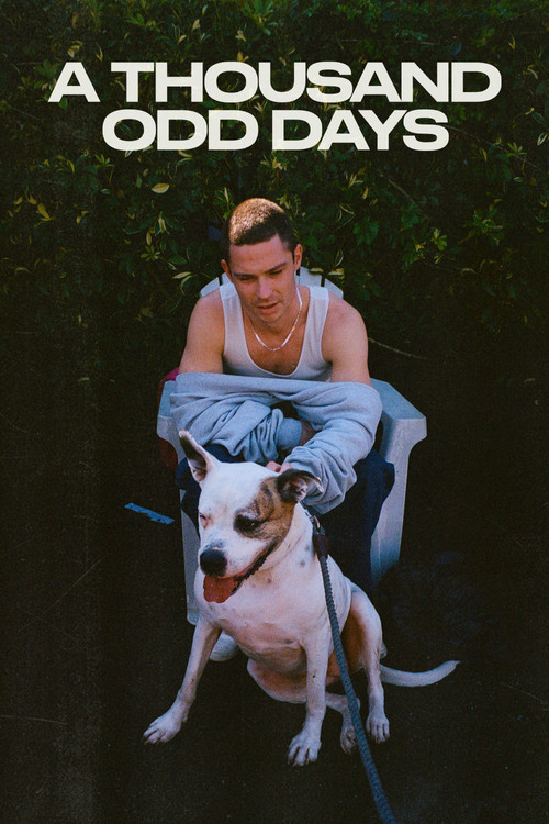A Thousand Odd Days (2024) poster