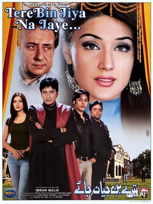 تیرے بن جیا نہ جائے (2005) poster