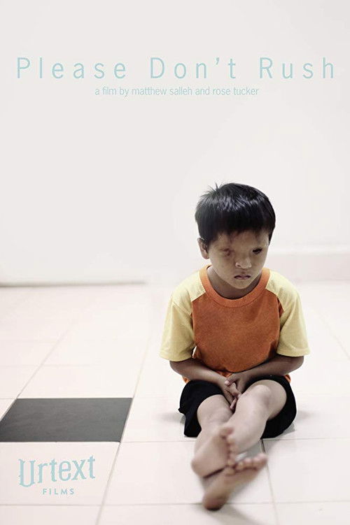 Please Don't Rush (2013) poster