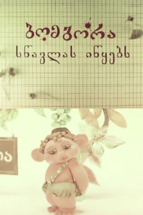 Bombora Begins to Study (1973) poster