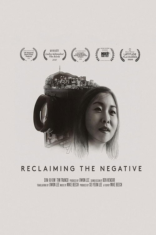 Reclaiming The Negative (2020) poster