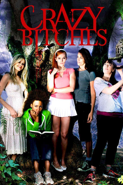Crazy Bitches (2014) poster