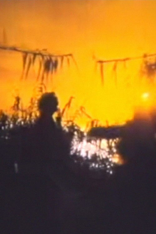 Colorfilm (1965) poster