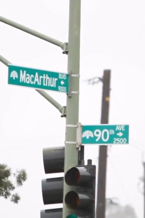 Turf Feinz - Dancing in the Rain (2009) poster