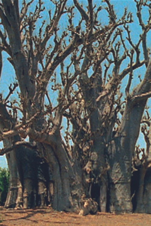 Baobab (2000) poster