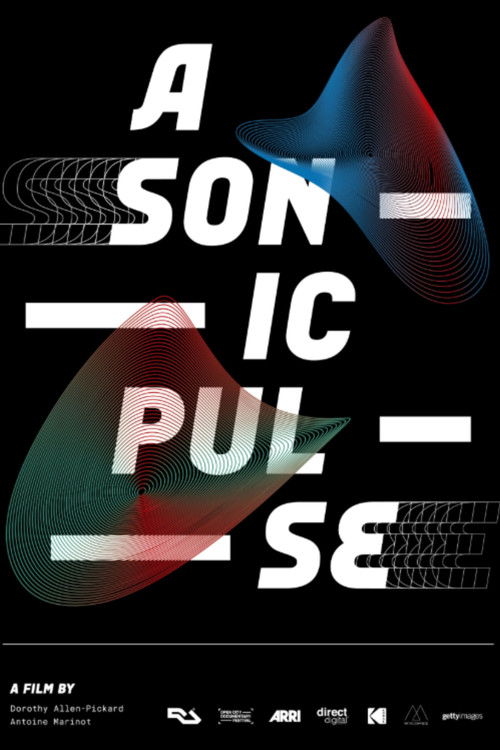 A Sonic Pulse (2019) poster