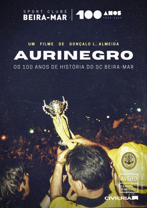 Aurinegro (2023) poster