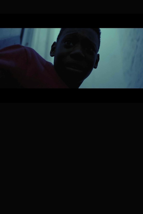 The Crone (2018) poster