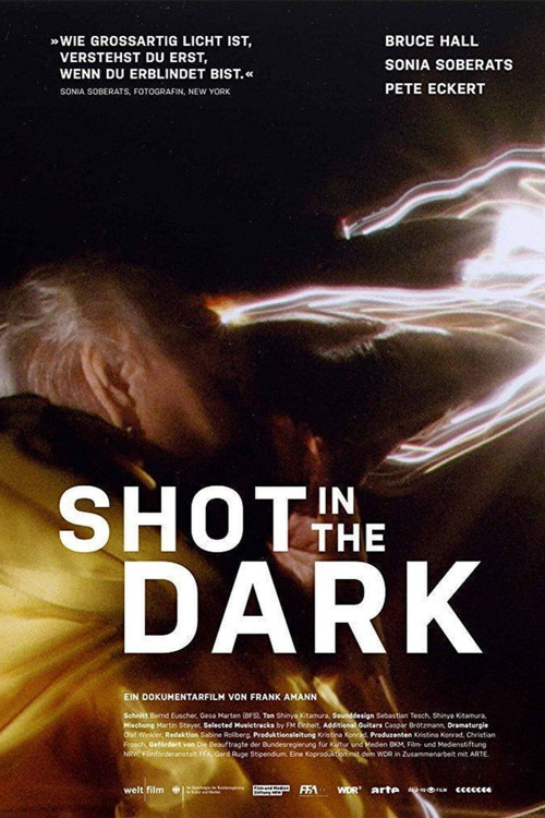 Shot in the Dark (2017) poster