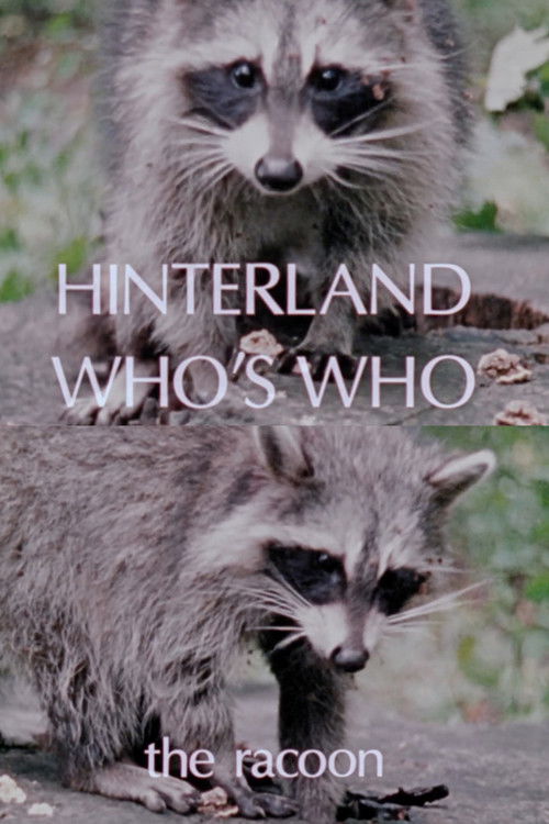 Hinterland Who's Who: The Raccoon (1978) poster