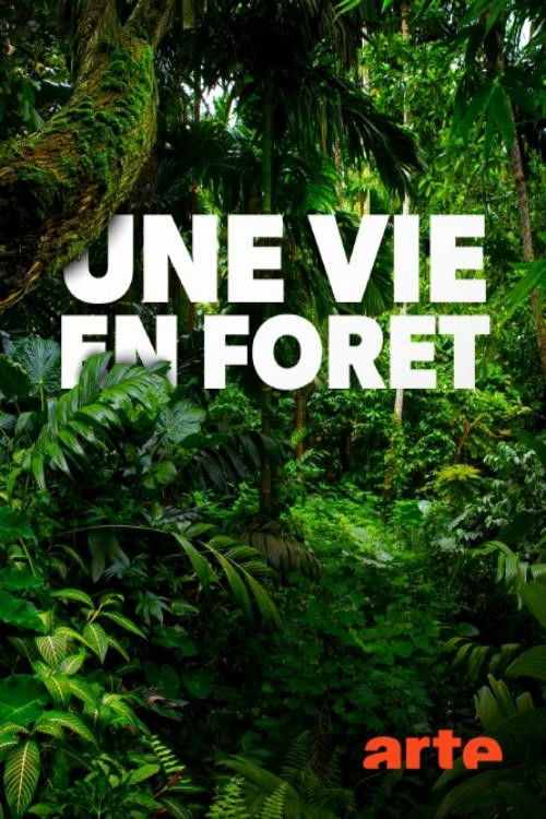 Une vie en forêt (2020) poster