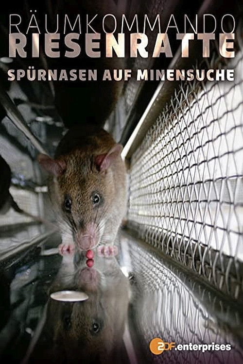 Räumkommando Riesenratte - Spürnasen auf Minensuche (2008) poster