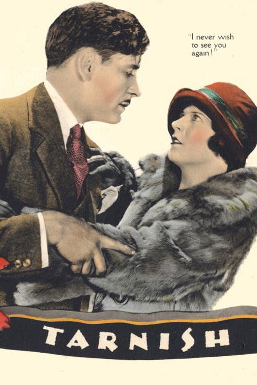 Tarnish (1924) poster