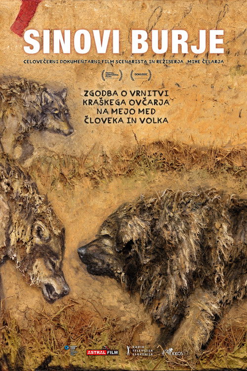 Sons of Bora (2021) poster