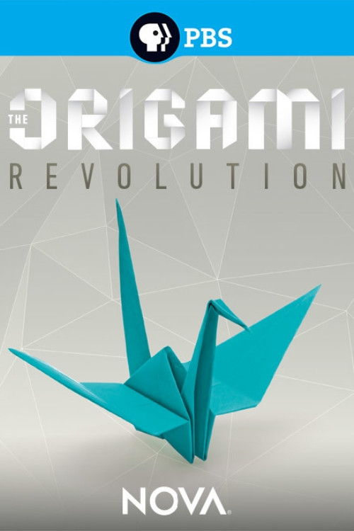 The Origami Revolution (2017) poster