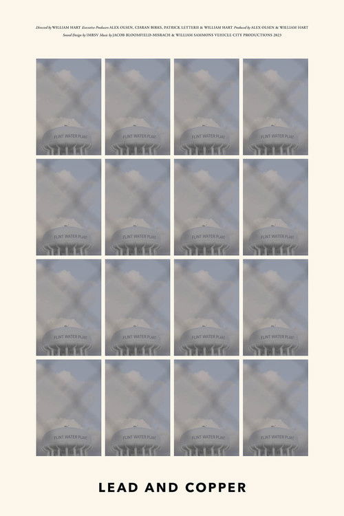 Lead and Copper (2023) poster