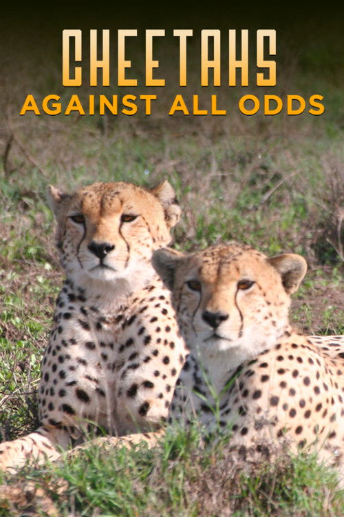 Cheetahs Against All Odds (2009) poster