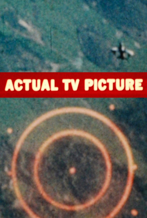 Actual TV Picture (2013) poster