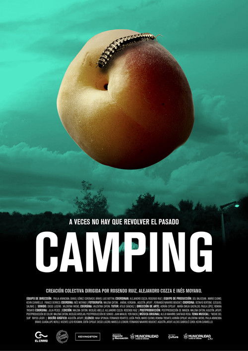 Camping (2017) poster