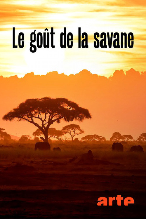 Le Goût de la savane : Herbivores et carnivores, festins croisés (2022) poster