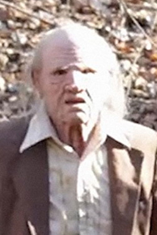 The Watcher's Woods (2017) poster