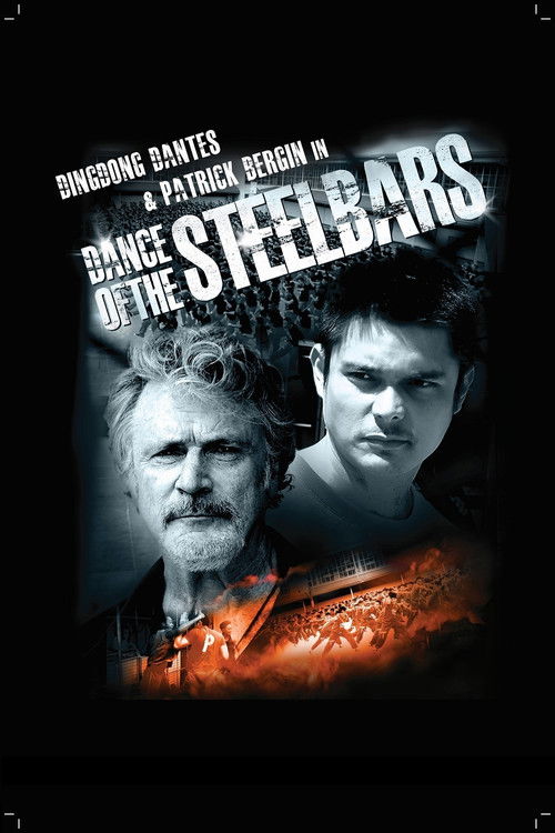 Dance of the Steel Bars (2013) poster