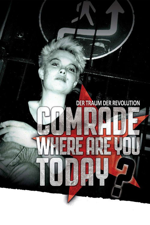 Comrade, Where Are You Today? (2016) poster