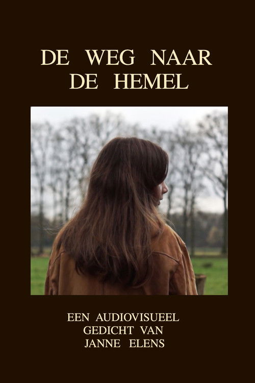 DE WEG NAAR DE HEMEL (2017) poster