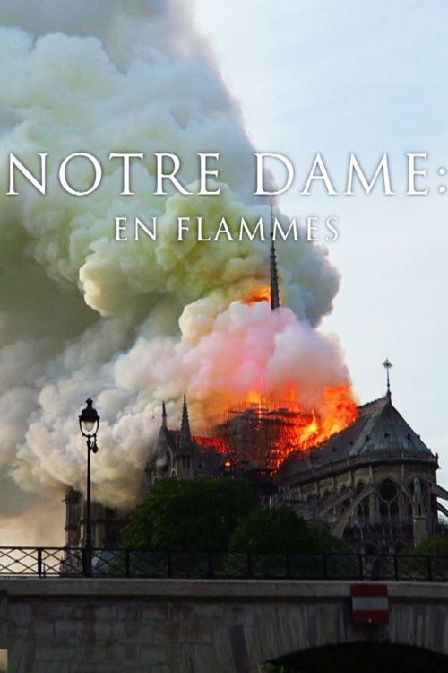 Pompiers de Paris : Sauver Notre-Dame (2019) poster