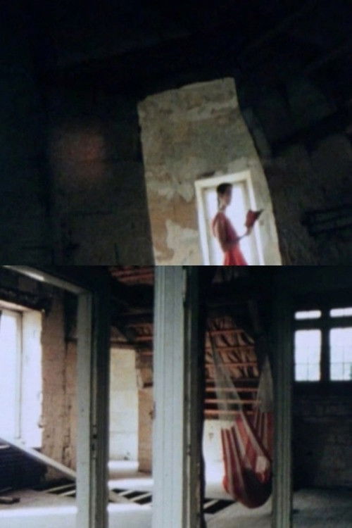 Schaloen (1989) poster