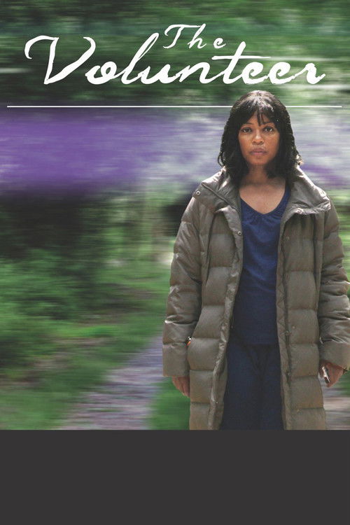 The Volunteer (2013) poster