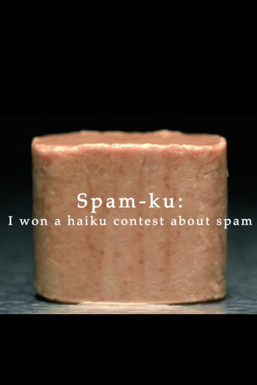Spam-ku (2005) poster