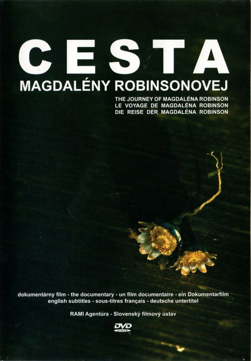 The Journey of Magdalena Robinson (2008) poster