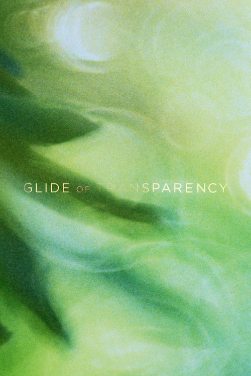 Glide of Transparency (2016) poster