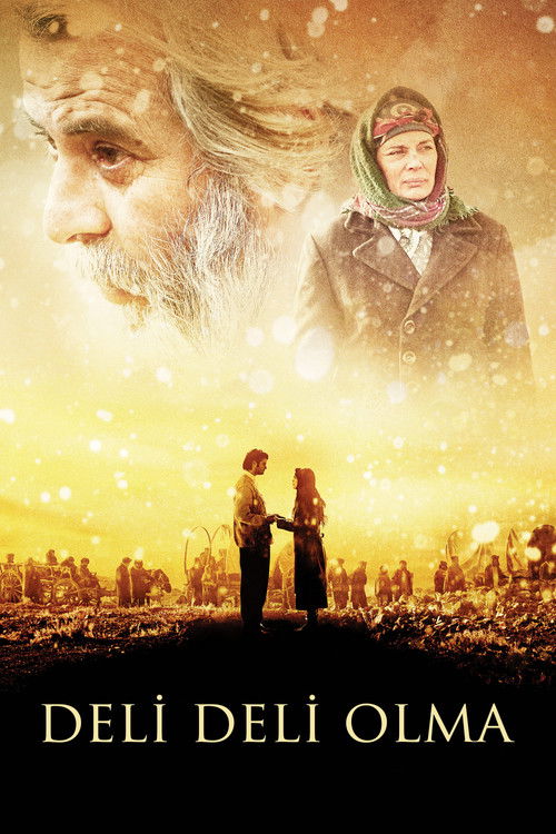 Piano Girl (2009) poster