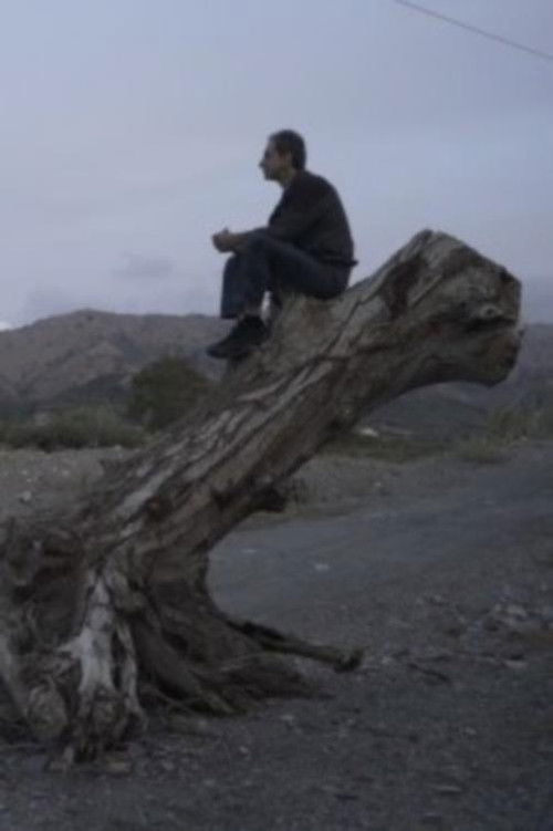 The Music of Things (2020) poster