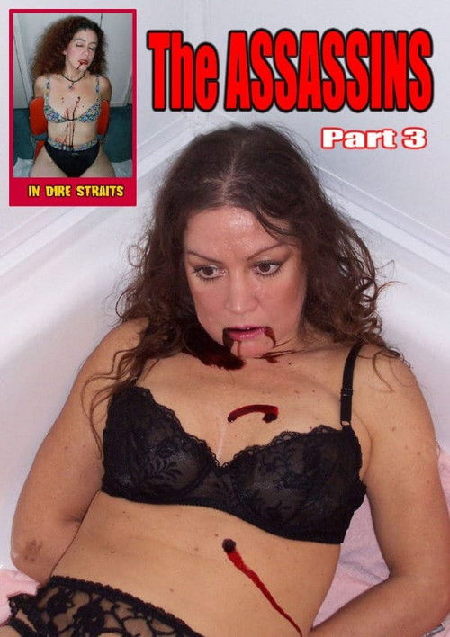 The Assassins Part 3 (2011) poster