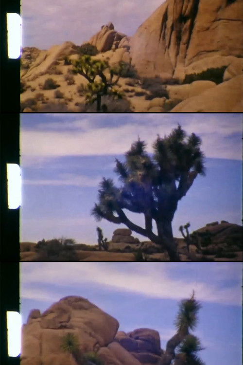 Lost Horse Valley (2020) poster