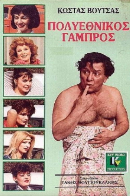 Πολυεθνικός γαμπρός (1987) poster