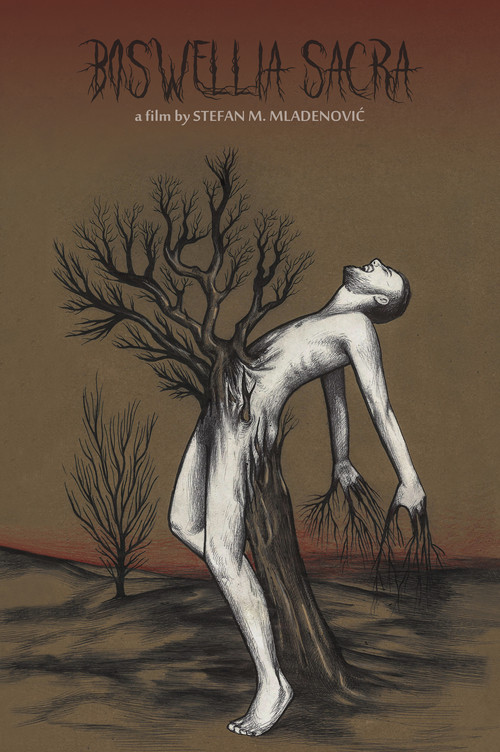 Boswellia sacra (2022) poster