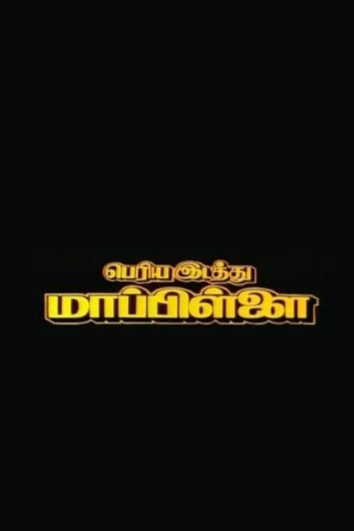 Periya Idathu Mappillai (1997) poster