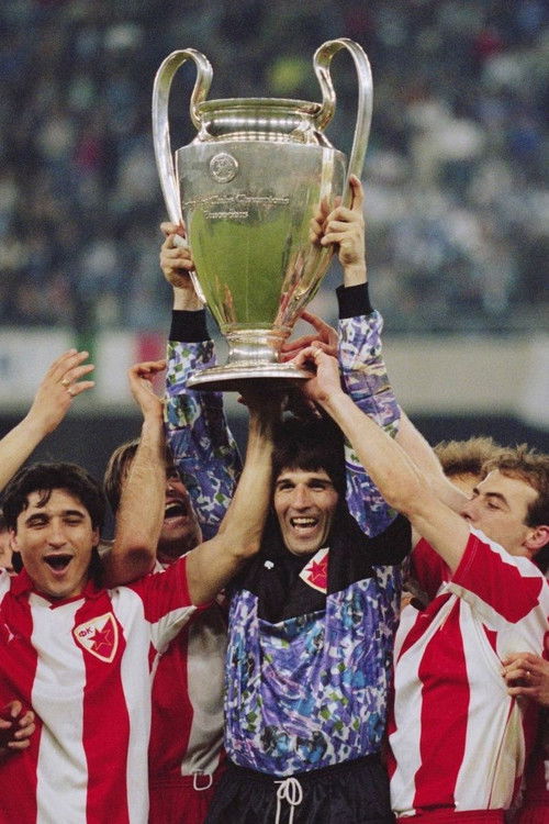 Road of Joy (2016) poster