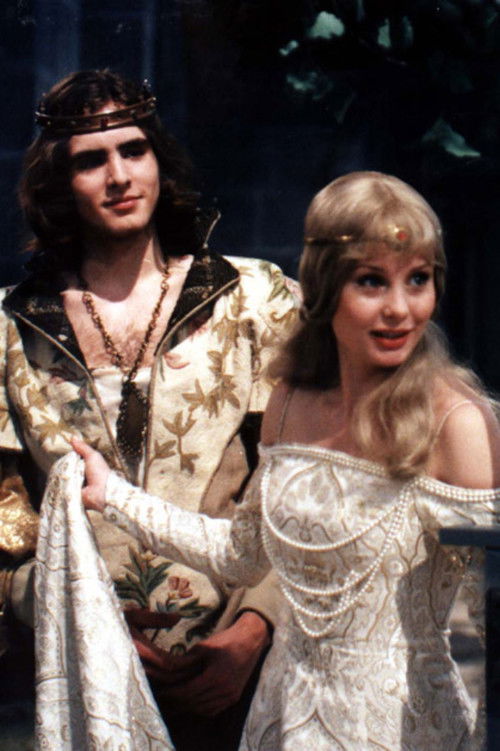 Spravedlivý Bohumil (1998) poster